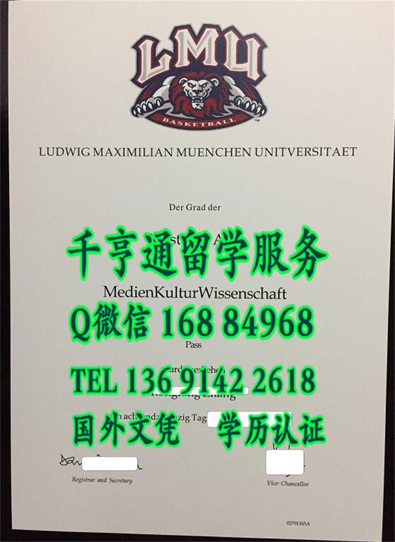 德国慕尼黑大学毕业证实拍，德国文凭，德国大学证书案例