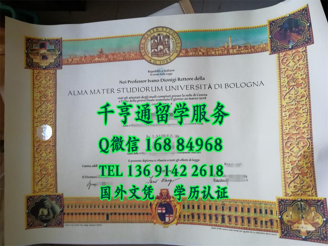 不一样的意大利博洛尼亚大学毕业证实拍图片 - University of Bologna diploma