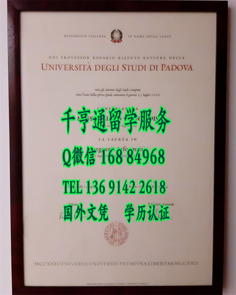 意大利帕多瓦大学毕业证样式，Università degli Studi di Padova diploma