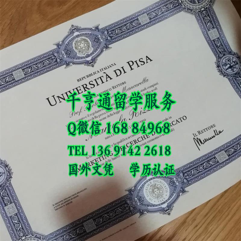 意大利比萨大学毕业证学位样本， University of Pisa diploma degree