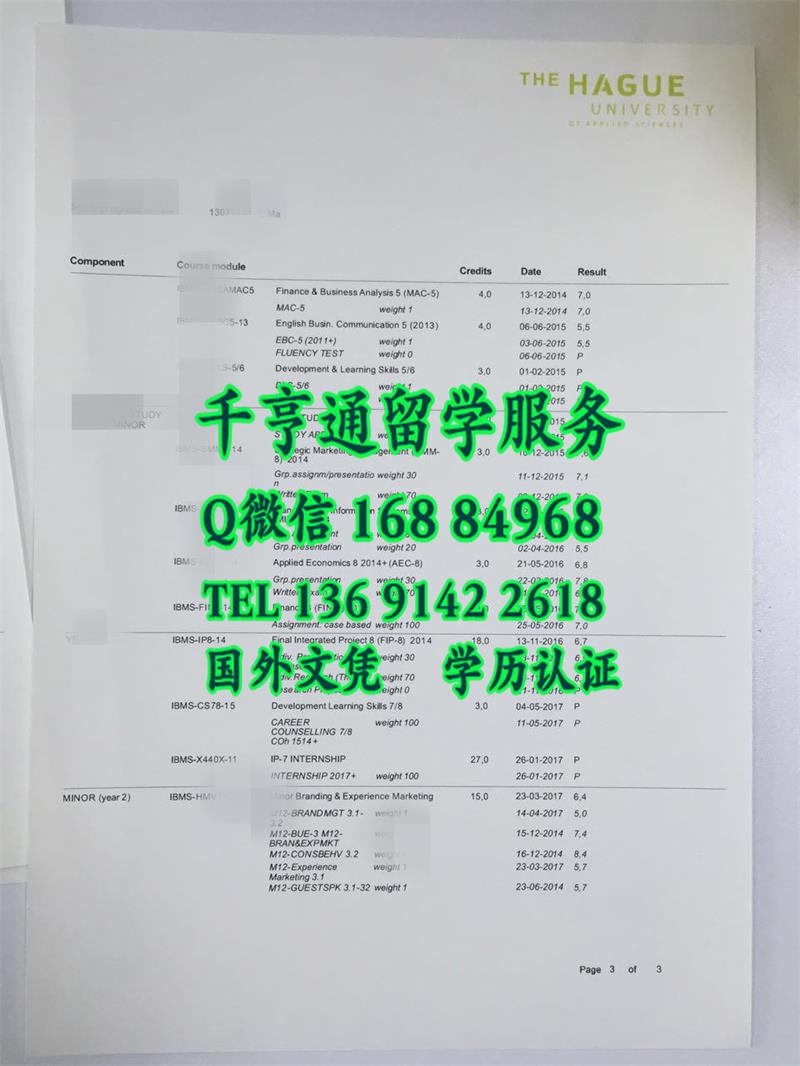 荷兰海牙大学成绩单，Hague University of Applied Sciences transcript