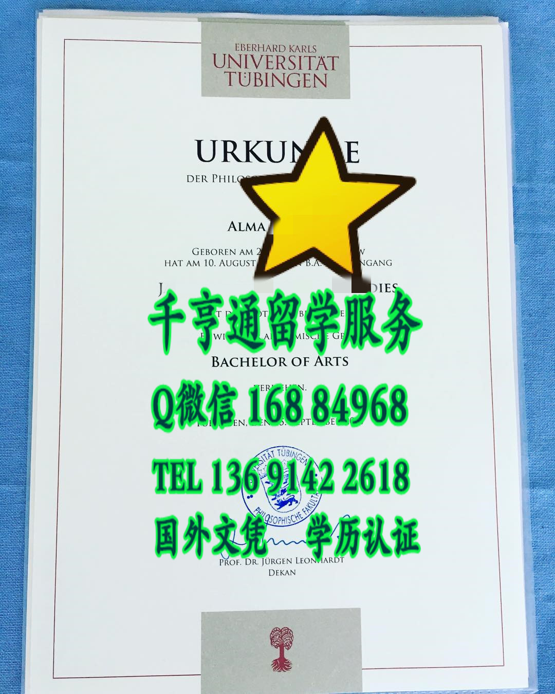 购买德国图宾根大学毕业证学位证网址，Eberhard-Karls-Universitaet Tuebingen diploma