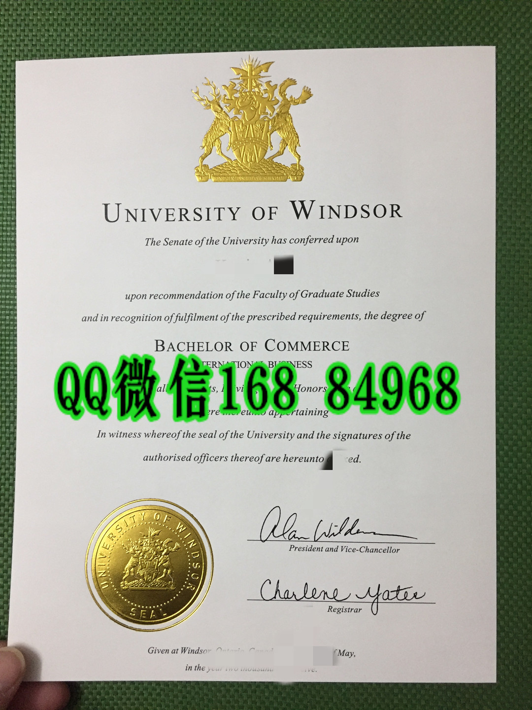 加拿大温莎大学毕业证案例反面实拍，University of Windsor diploma certificate